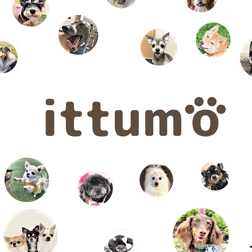 ittumoアイコン